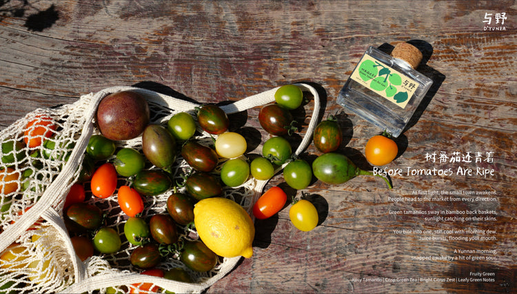 D'YUNEA|Reed Diffuser