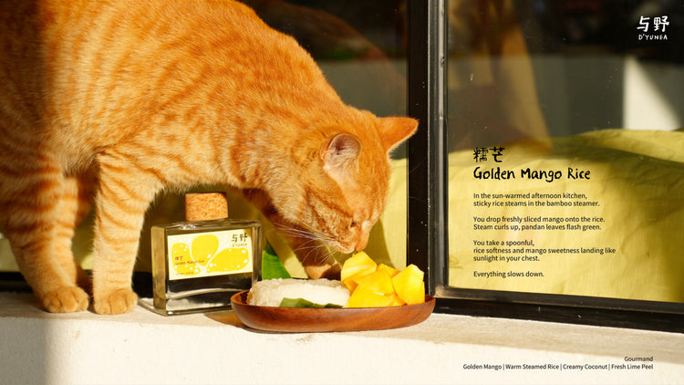 D'YUNEA|Reed Diffuser