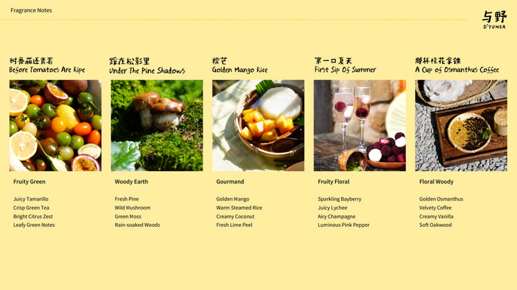 D'YUNEA|Reed Diffuser