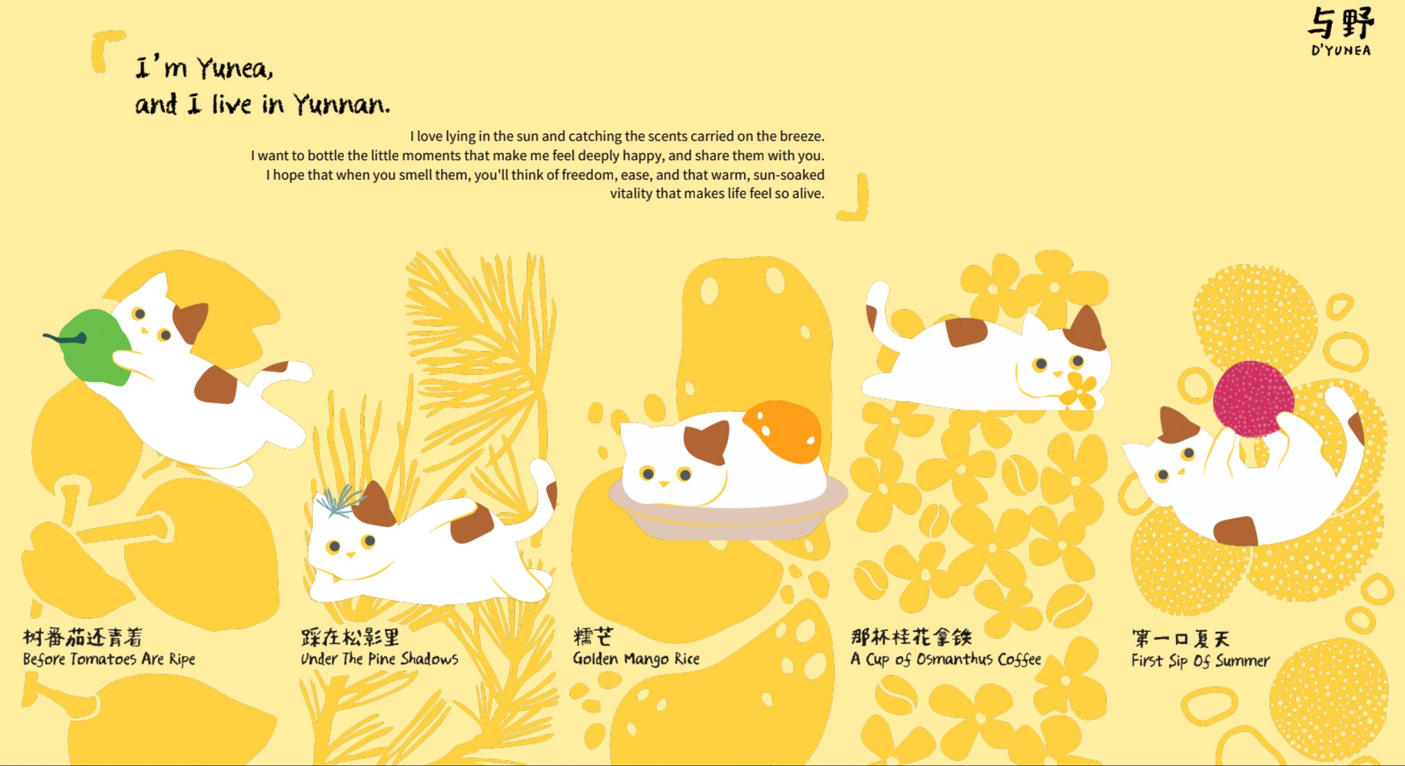 D'YUNEA｜Reed Diffuser-6
