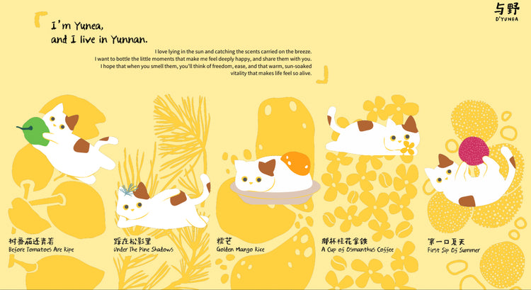 D'YUNEA｜Reed Diffuser