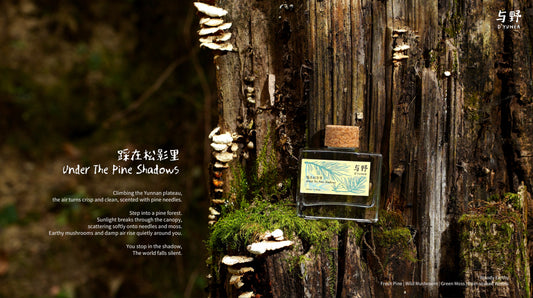 D'YUNEA｜Reed Diffuser